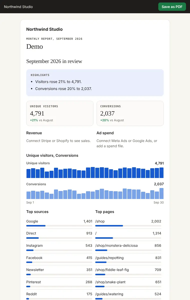 A monthly client report as the client sees it, under the agency name, with highlights, charts, top sources and pages, and Save as PDF. Demo data.